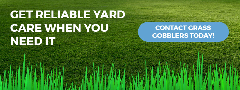 Call to action for reliable lawn care.