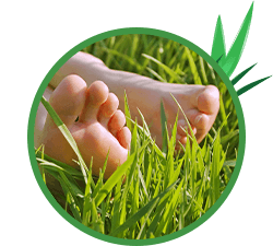 bare-feet-603401506a232